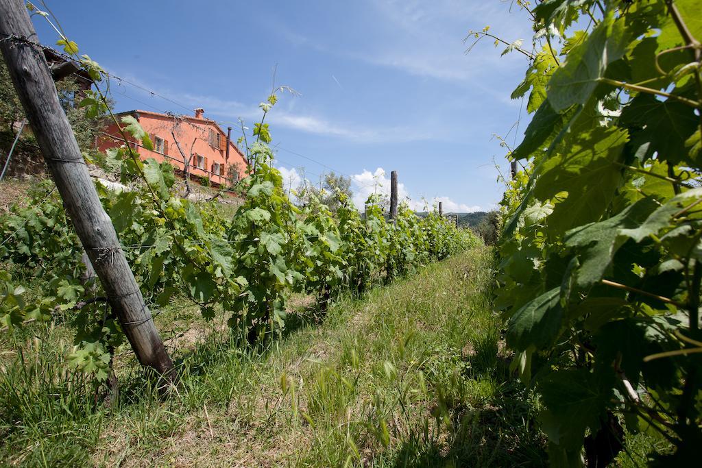 Agriturismo La Burlanda Fosdinovo Eksteriør bilde